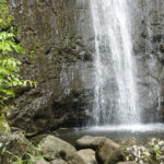 oahu hawaii waterfall manoa