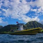 dolphin excursions boat oahu hawaii island