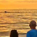 makani catamaran sunset sail whale tail oahu hawaii
