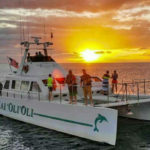 ocean joy sunset cruise oahu hawaii